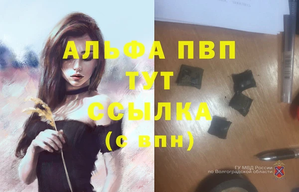 молекула духа Баксан
